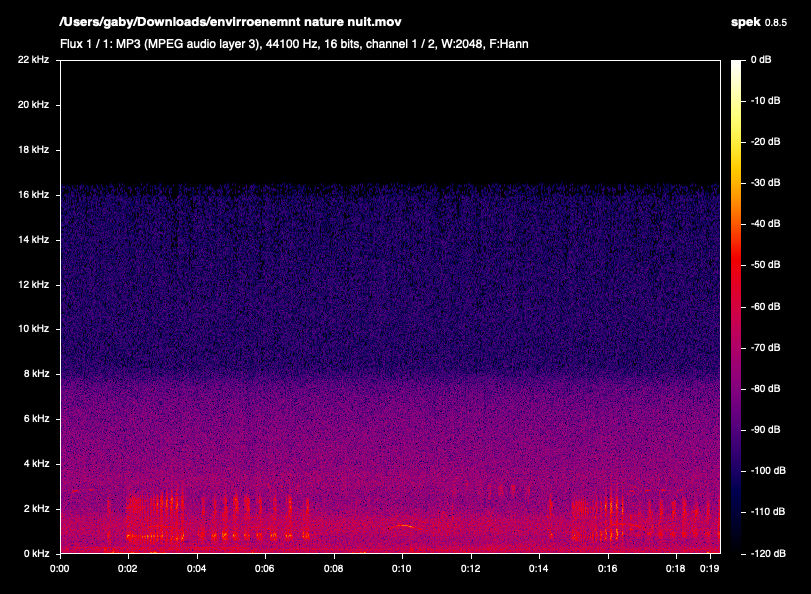 envirroenemnt%20nature%20nuit